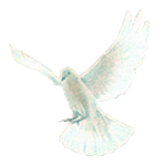 holy spirit